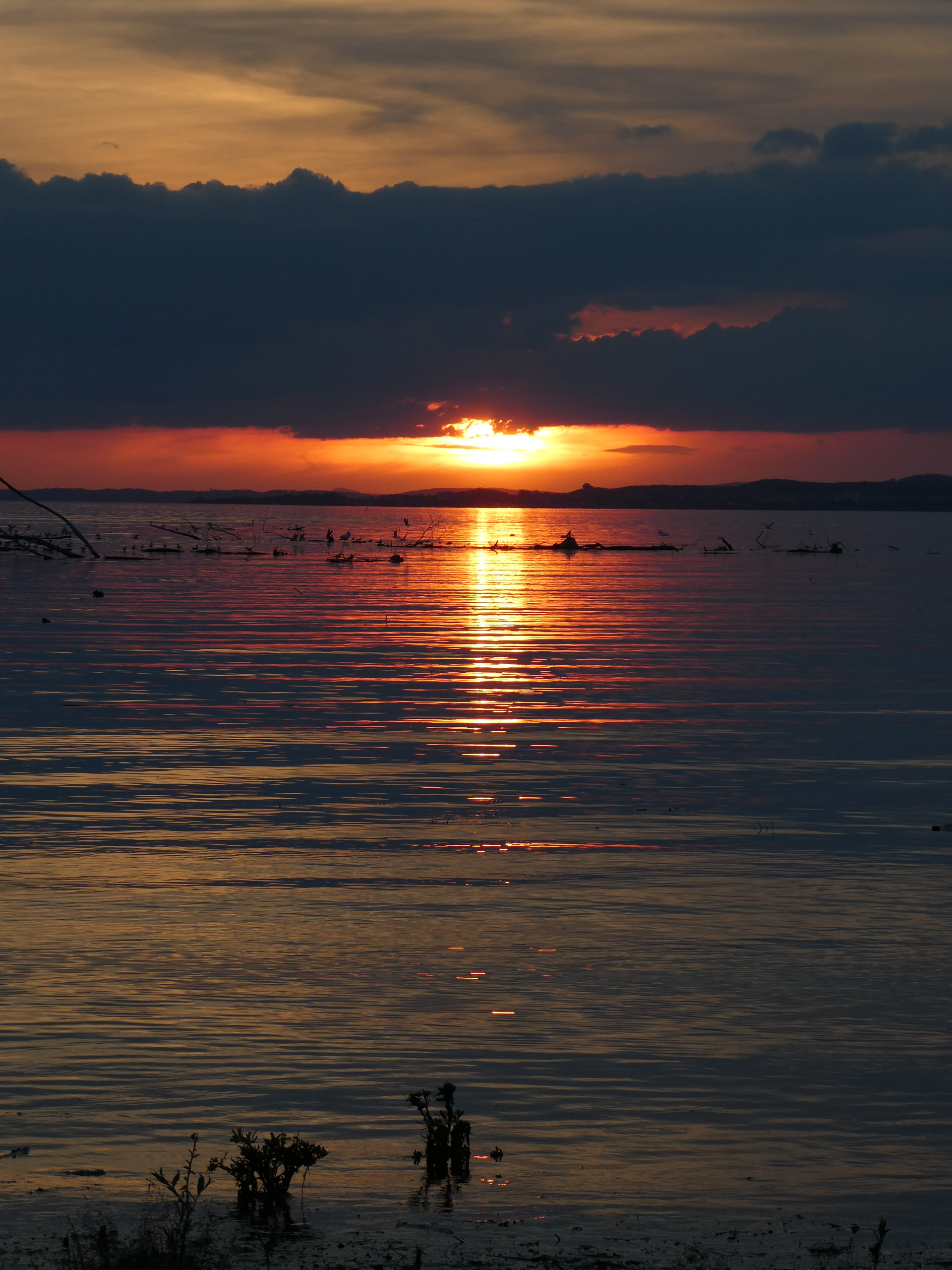 20230506203849 P1000206